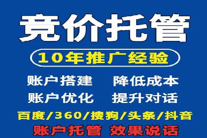 百度竞价代理操作手册：成功案例分析